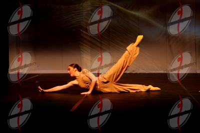 SHOW_02169.jpg
